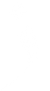 Arabic Letter Zeyn