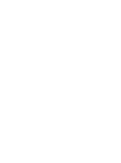 Arabic Letter Rah
